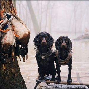 Meet your Posher, Colton